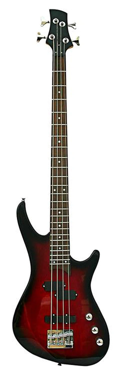 Bassgitar