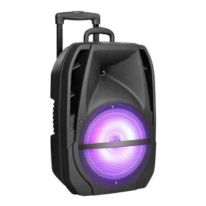 Bluetooth Stage-høyttalere